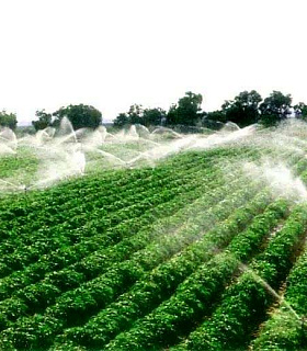 Методы водоподготовки для сельхозпредприятий